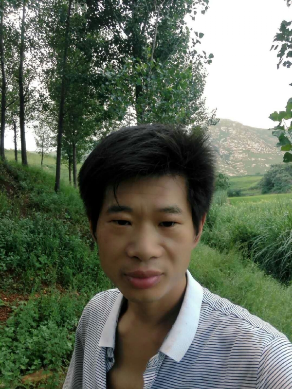 好男儿的第三张照片--南阳王婆说媒